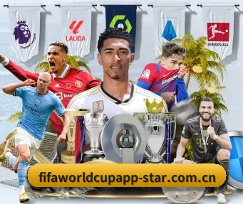畅享世界杯 APP